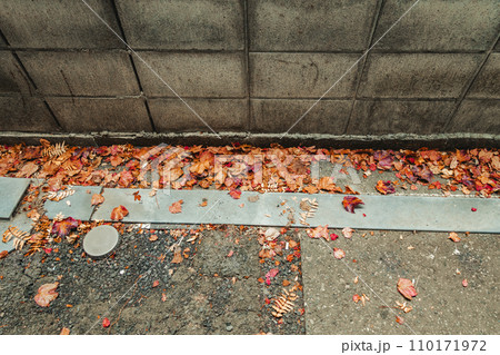 ブロック塀と落ち葉 ブロック塀と落ち葉 110171972