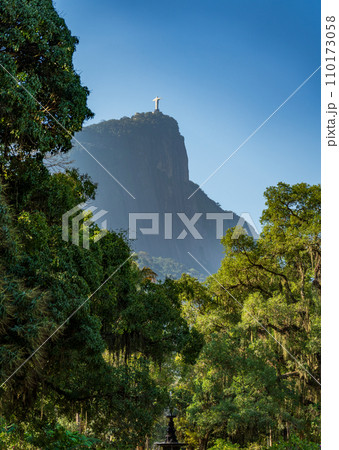 Rear View of Christ the Redeemer Encompassed by Forest in Rio 110173058
