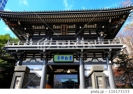 東京都港区愛宕　青松寺の山門 110173155