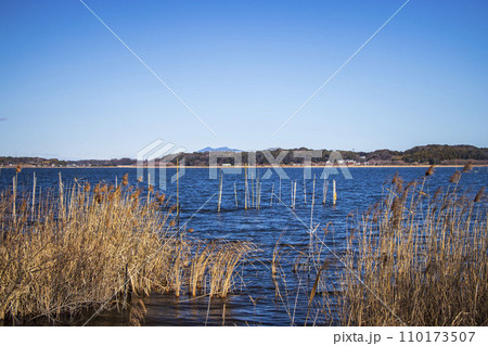 牛久沼と筑波山の遠景 牛久沼と筑波山の遠景 110173507