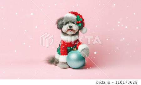 Abstract winter Christmas concept background with cute puppy dog with Christmas ball and falling snow. 110173628