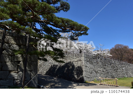 日本　東北　福島　二本松の桜　お花見 110174438