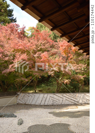 龍吟庵 龍の庭(西庭) 龍吟庵 龍の庭(西庭) 110174442