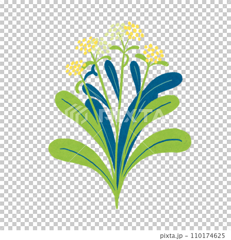 Illustration of spring seven herbs Gogyo Illustration of spring seven herbs Gogyo 110174625