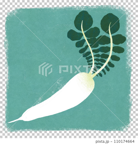 Illustration of spring seven herbs Suzushiro 110174664