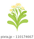 春の七草ゴギョウのイラスト 110174667