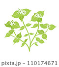 春の七草ホトケノザのイラスト 110174671