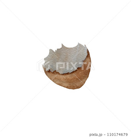 Egg brown shell hand drawn watercolor sketch 110174679