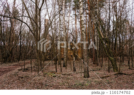 A building is partially obscured by bare trees in a forested area. 110174702