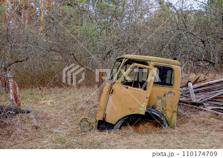 A rusted, abandoned car in a wooded area. 110174709