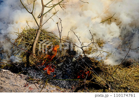 A fire burns bright, consuming dry branches and grass. 110174761