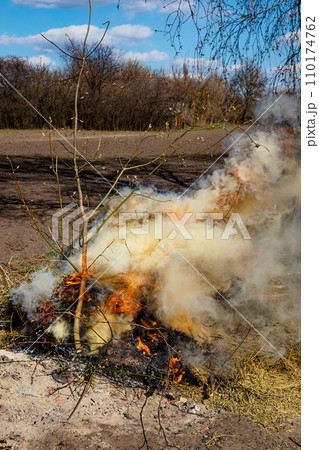 A pile of branches and debris is burning outdoors. Illegal burning of leaves and dry grass. 110174762