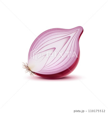 Realistic red raw onion half, isolated vegetable, pungent halved slice of purple bulb with visible layers, releases a sharp aroma. Its crisp texture promises a potent flavor, ingredient for culinary 110175512
