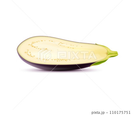 Realistic raw isolated eggplant vegetable half. 3d vector sliced plant reveals its smooth, purple skin and soft, cream-colored flesh, awaiting culinary transformation for savory dishes and delights 110175751