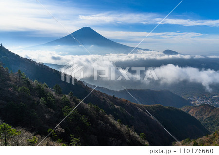 王岳~鬼ヶ岳稜線より望む雲海と富士山の絶景 王岳~鬼ヶ岳稜線より望む雲海と富士山の絶景 110176660