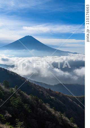 王岳~鬼ヶ岳稜線より望む雲海と富士山の絶景 王岳~鬼ヶ岳稜線より望む雲海と富士山の絶景 110176663