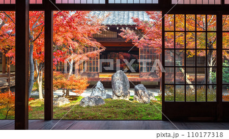 秋の潮音庭 110177318