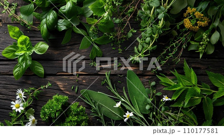 Close up of fresh herbs. Close up of fresh herbs. 110177581