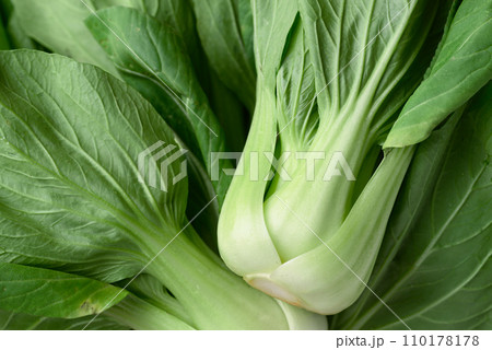 Bok choy or Pak choi (Chinese cabbage) pattern texture background 110178178