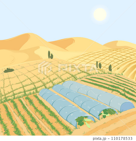 Landscape with vegetable beds in the desert. Restoring land fertility and combating desertification. 110178533
