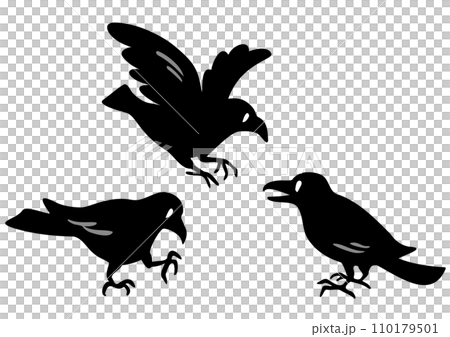 3羽のカラス。アイソメトリック図。 110179501