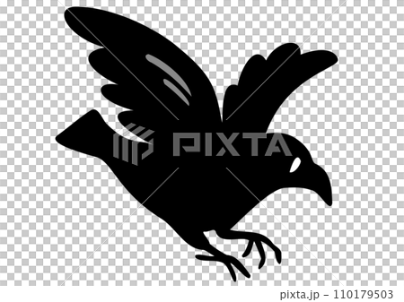 1羽のカラス。アイソメトリック図。 1羽のカラス。アイソメトリック図。 110179503