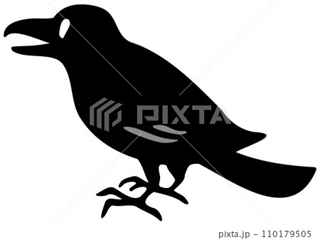 1羽のカラス。アイソメトリック図。 1羽のカラス。アイソメトリック図。 110179505