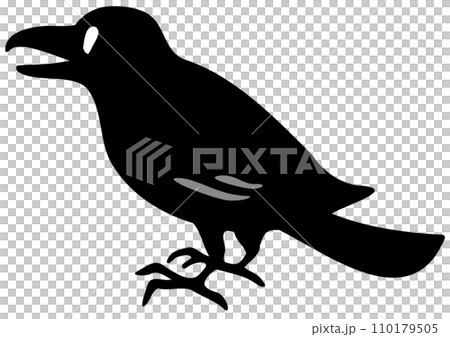 1隻烏鴉。等距圖。 110179505