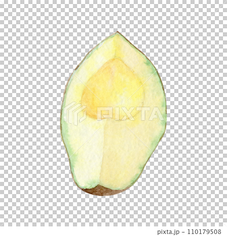 Watercolor avocado on a white background Watercolor avocado on a white background 110179508