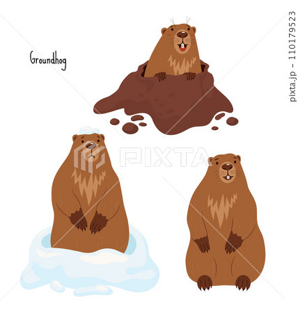 Collection Groundhogs. Rodent animal sad in snow, marmot stands and looks out of hole. Cute Isolated characters for Groundhog Day holiday design on February 2. vector illustration. 110179523