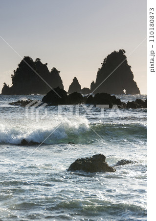 石廊崎の蓑掛岩 110180873