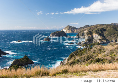 南伊豆の海岸 110180998