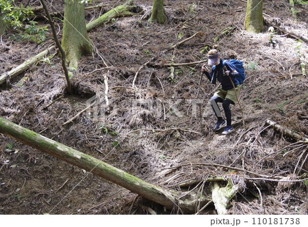 山の樹林帯を下山中の女性 山の樹林帯を下山中の女性 110181738