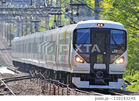 中央本線　四方津ー上野原　JR東日本　E257系　M-109編成（松本）　あずさ　かいじ 110183248