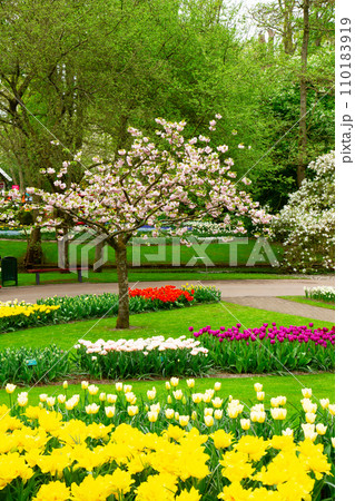 Formal spring garden 110183919