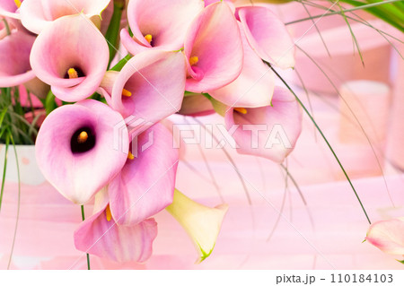 Pink calla flowers 110184103
