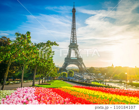 eiffel tour and from Trocadero, Paris 110184107