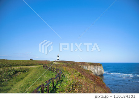北海道網走市にある能取岬(のとろみさき) オホーツク海に突き出た能取岬に立つ灯台 110184303
