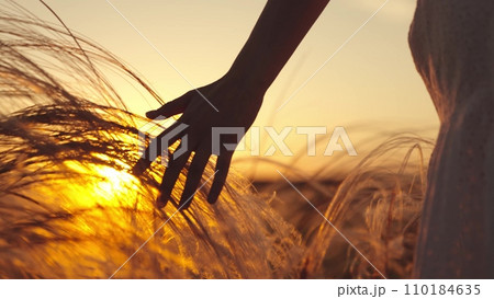 Young woman walks through field stroking with hand ears of wheat at sunset Young woman walks through field stroking with hand ears of wheat at sunset 110184635