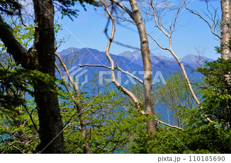 大無間山稜線からの悪沢・赤石・聖岳 大無間山稜線からの悪沢・赤石・聖岳 110185690