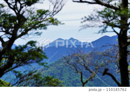 大無間山稜線からの池口岳 大無間山稜線からの池口岳 110185762
