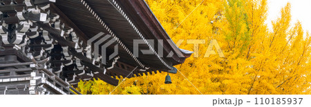 231115飛騨国分寺g047~051 231115飛騨国分寺g047~051 110185937