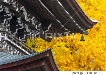 231115飛騨国分寺g080 110185939