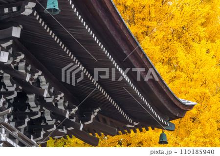 231115飛騨国分寺g078 110185940