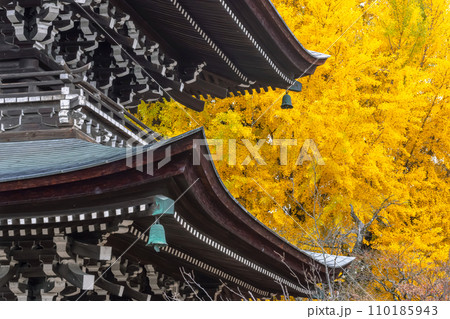 231115飛騨国分寺g070 110185943