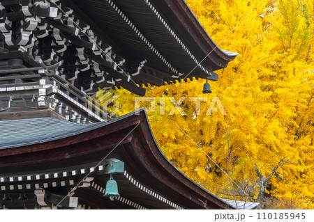 231115飛騨国分寺g062 110185945