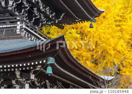 231115飛騨国分寺g055 110185948