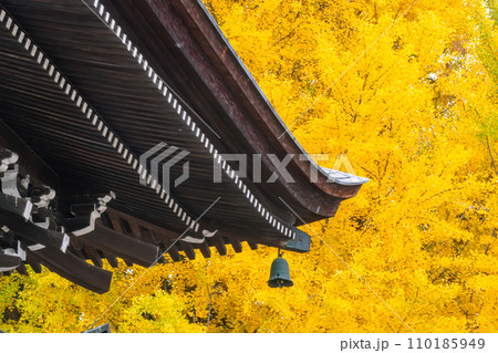 231115飛騨国分寺g049 231115飛騨国分寺g049 110185949