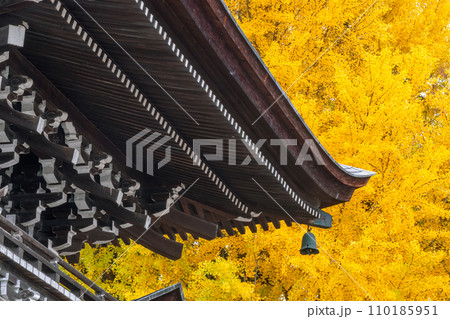 231115飛騨国分寺g044 110185951