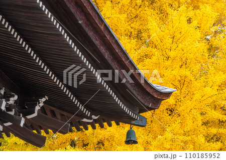 231115飛騨国分寺g042 110185952